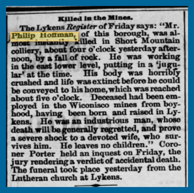 hoffmanphilips-hbgtelegraph-1878-11-25-001a